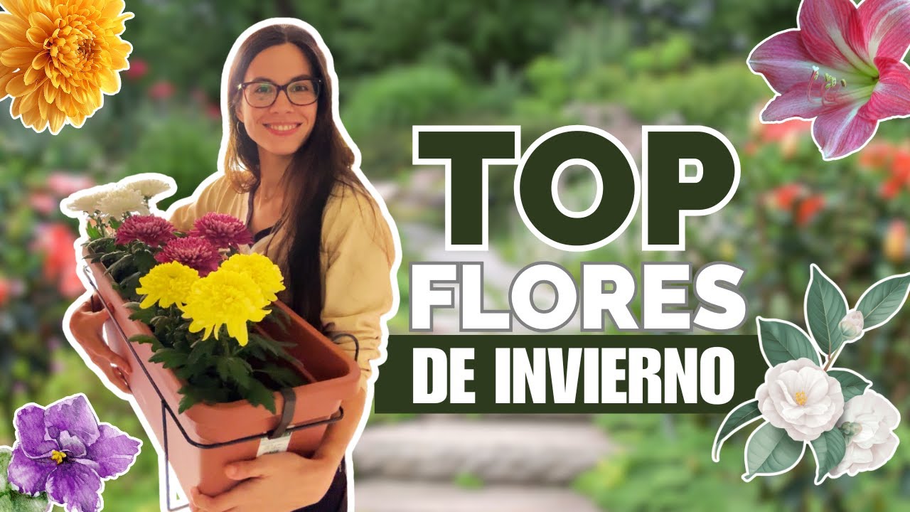 Top 3 plantas 🌺 que FLORECEN en invierno | Interior + Exterior