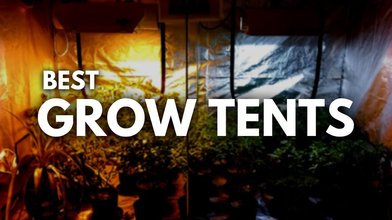 Top 5 Best Grow Tents 2025 - For Hydroponic Gardening
