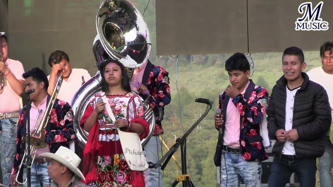 ¡¡BANDA NURIENSE EN VIVO PICHATARO MICHOACAN!! 08 DE AGOSTO DEL 2024
