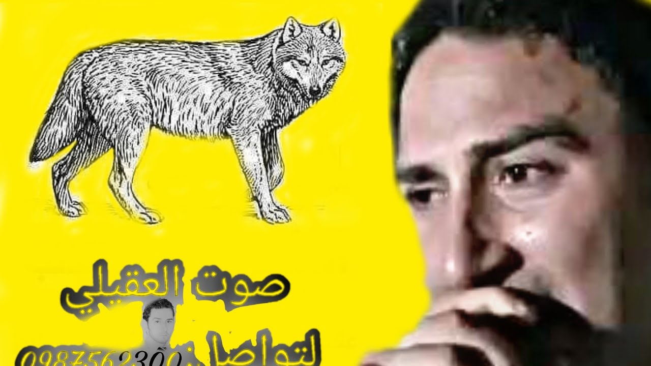 '#حسام عقيلي #موال اسف اذا ازعجتك 🎤🌹🌹صالة الأماسي #عدنان المطر #