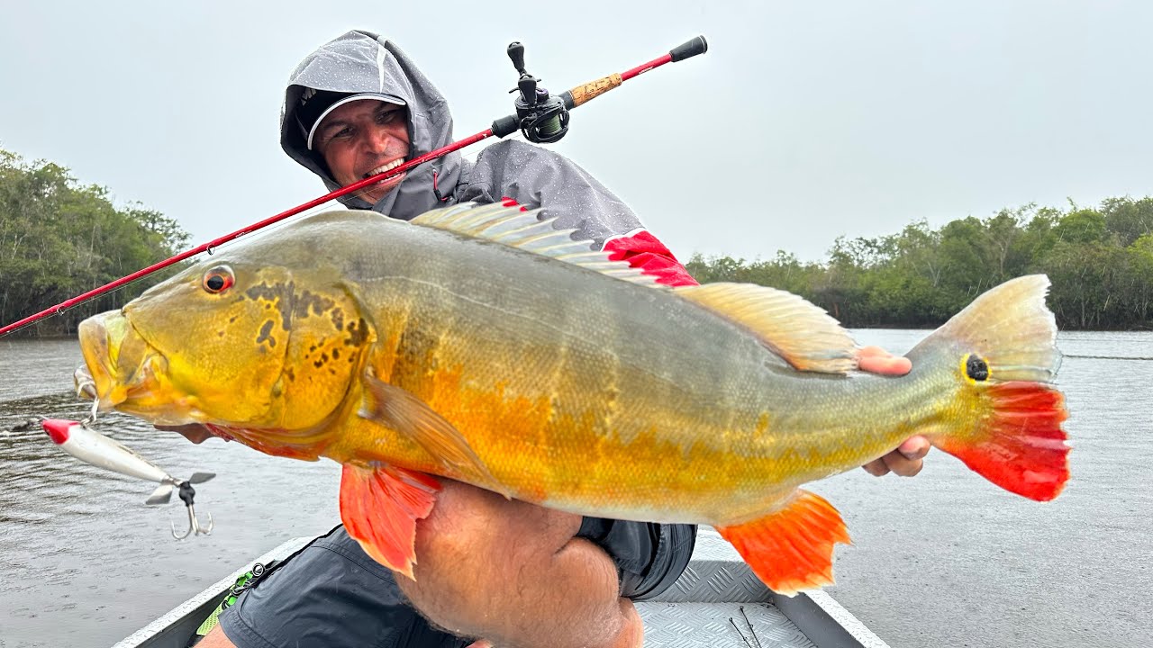 PEIXE MONSTRO NA CHUVA E ACAMPAMENTO RÚSTICO