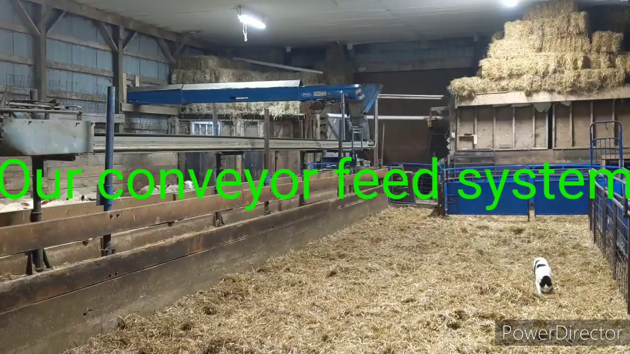 Conveyor feed system
