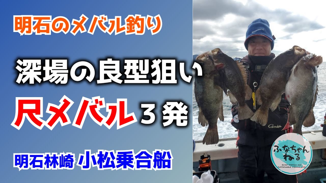【メバル】2月小潮回り（10日潮）明石大橋東側ポイントでのメバル祭り！