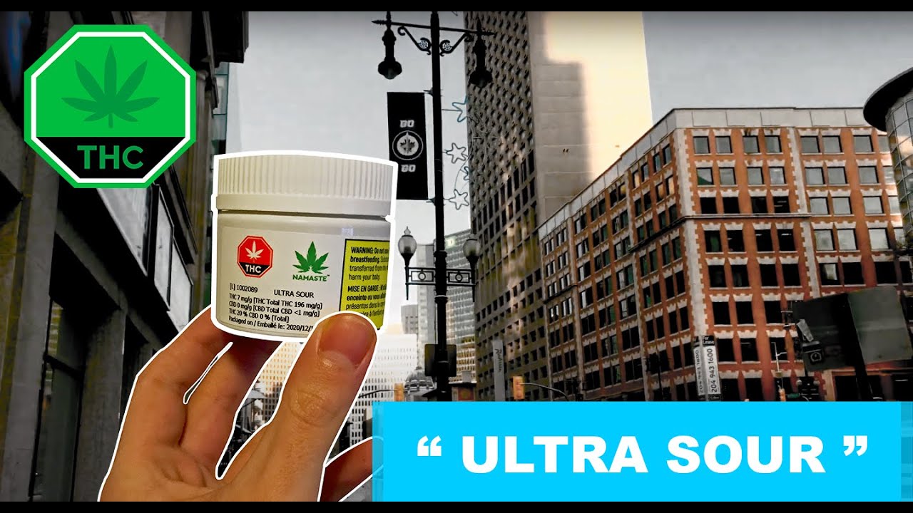 Огляд сорту Ultra Sour (PointCannab #6)