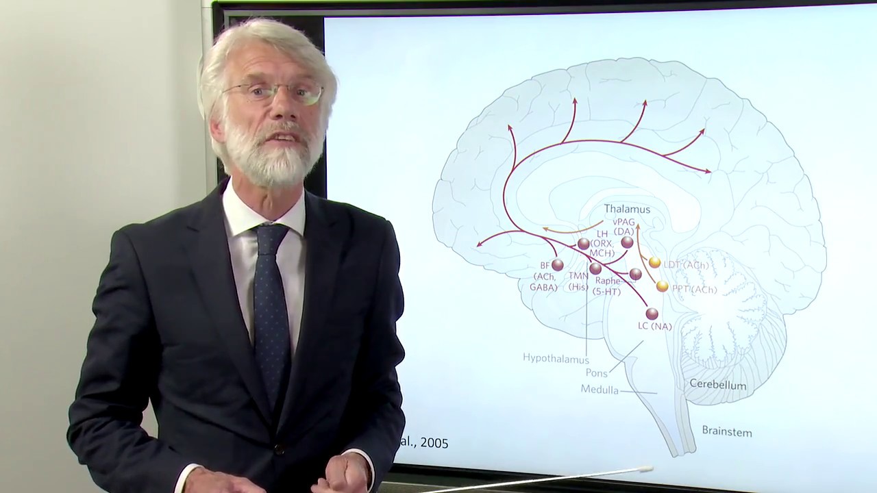 Brainwise door Erik Scherder #1 Slaap & arousal