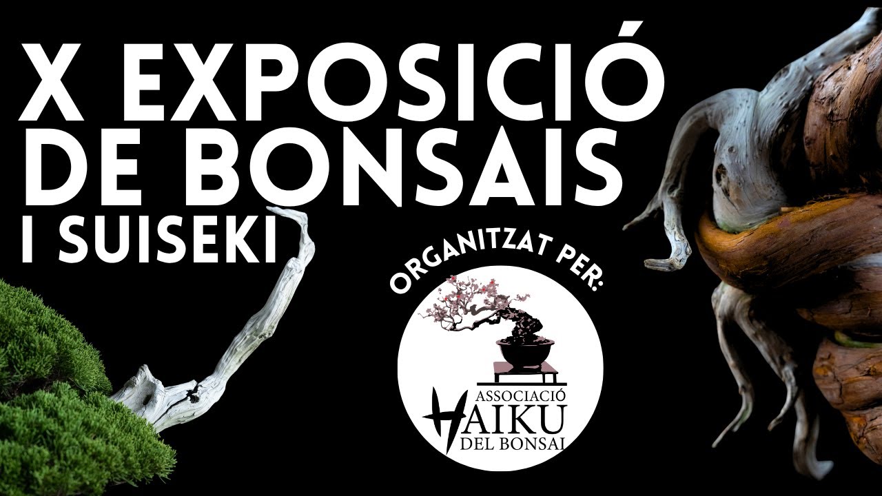 X EXPO BONSAIHAIKU