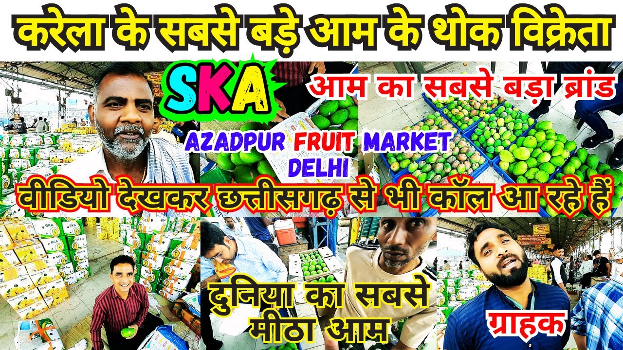 12/04/24 Aam Ka Taaza Rate | Karela's largest mango wholesaler SKA | Azadpur Fruits Market Delhi