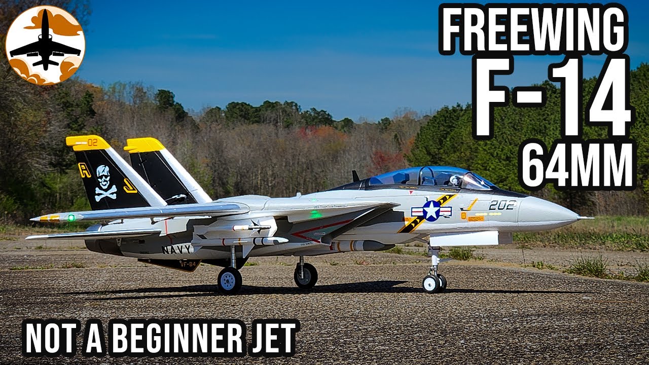 They Say It's Defective, But It's NOT - Freewing F-14 64mm Follow-up Review