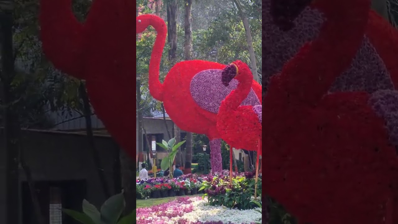 Flower show Pune 2026 | SAMBHAJI  Maharaj udyan pune  | 44th flower and agriculture  exhibition 2026