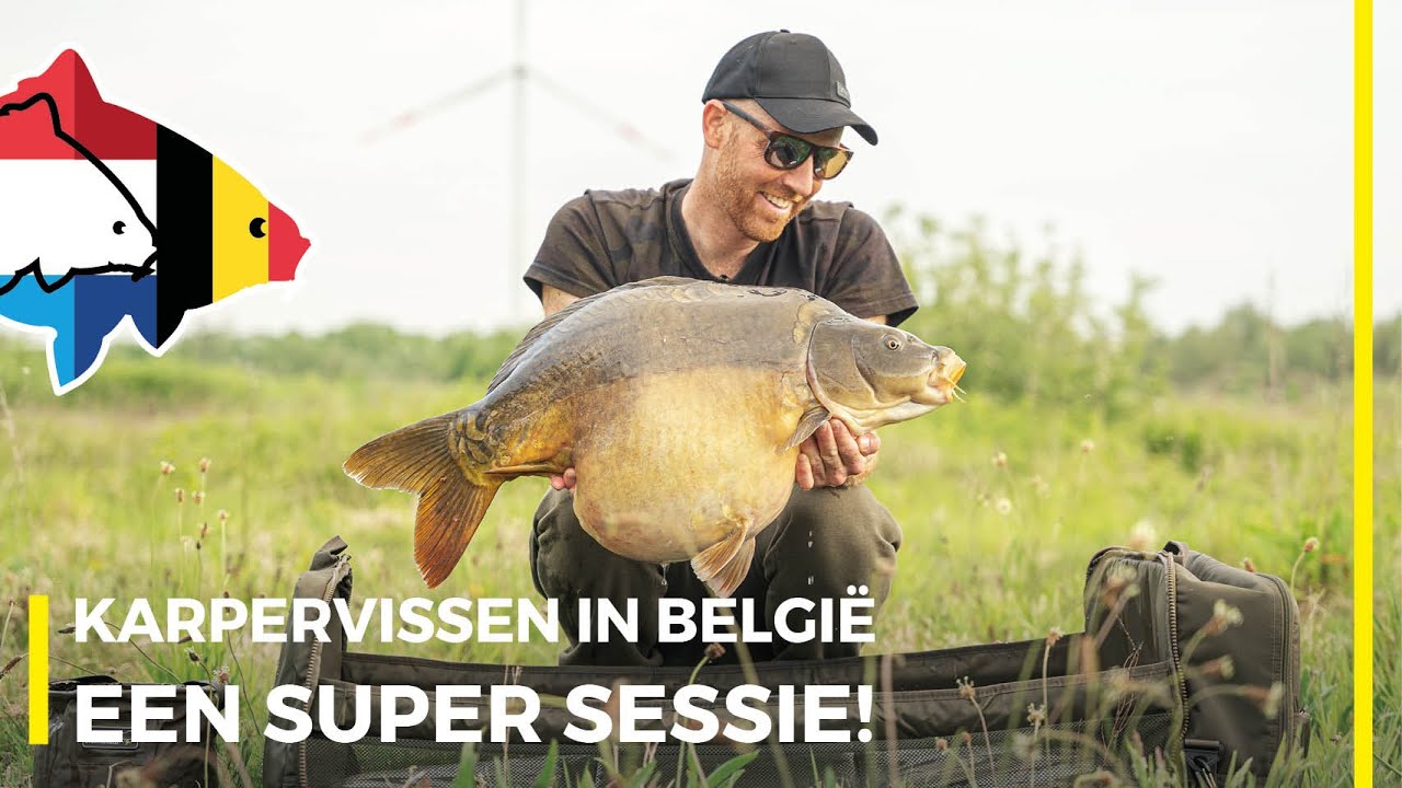 KARPERVISSEN IN BELGIË | EEN SUPER SESSIE! 🔥