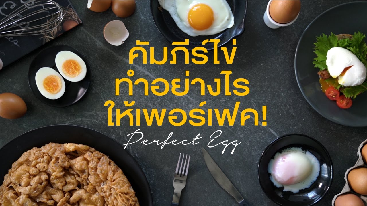 [ENG CC] Perfect Egg คัมภีร์ไข่ ทำอย่างไรให้เพอร์เฟค!