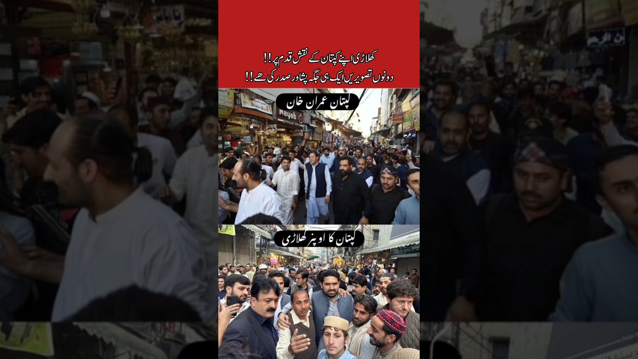 #pti #imrankhanfanclub #pakistanipolitician #news #ptiofficial #breakingnews #imrankhabn #imrankhan