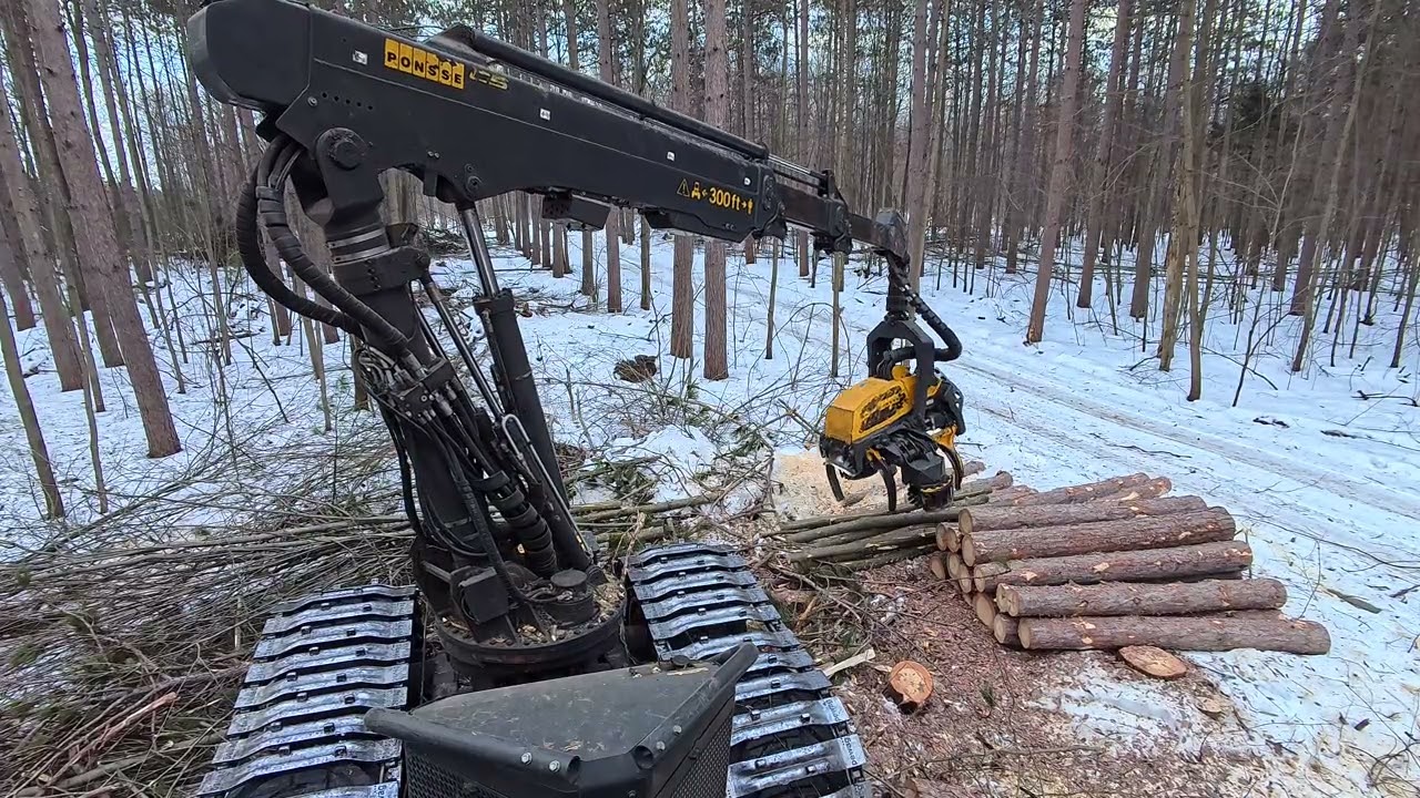 Ponsse Ergo cutting red pine