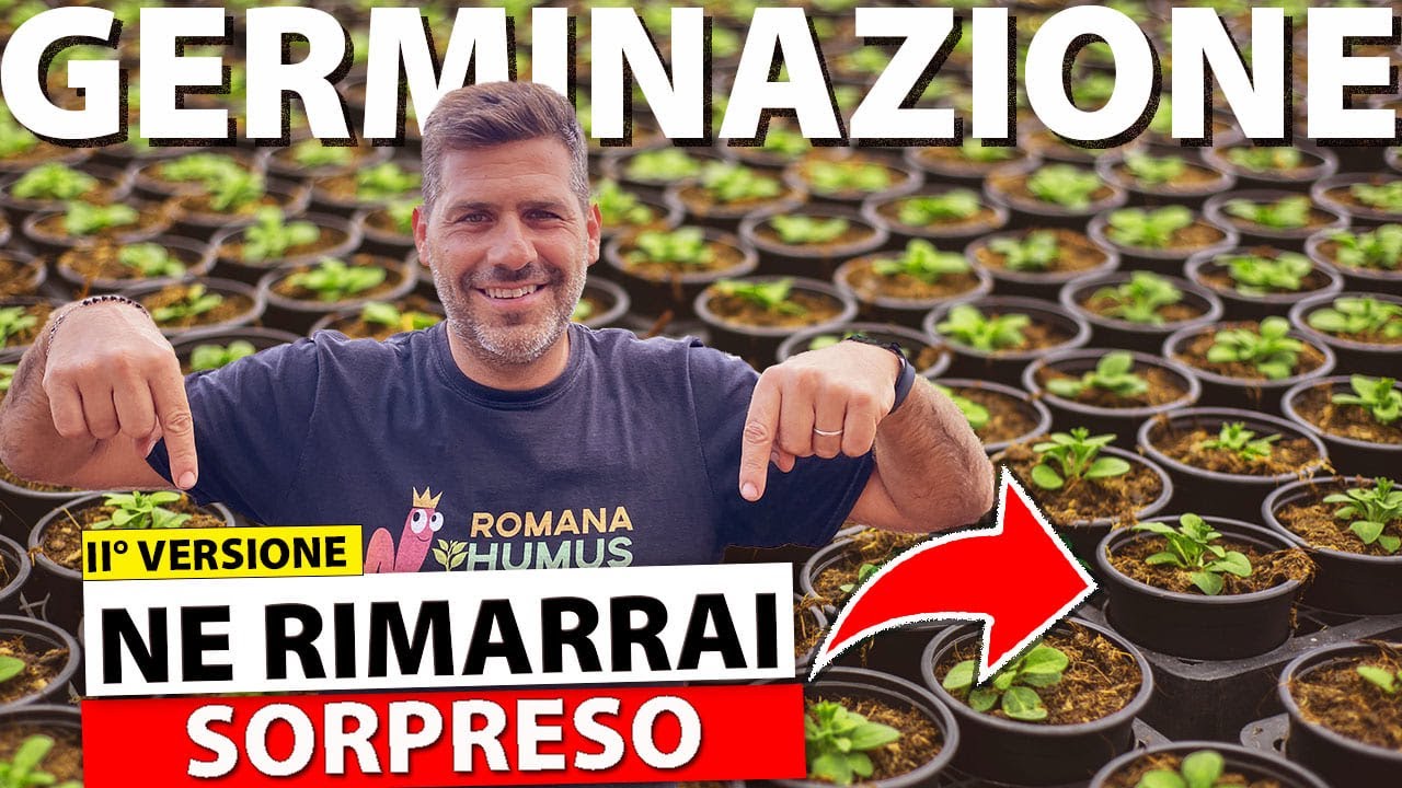 GERMINAZIONE ORTAGGI:  8 ASPETTI DA CONSIDERARE PER OTTENERE RISULTATI INCREDIBILI II° VERSIONE