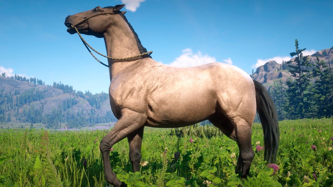 MAXWHIS Y SU AMIGO DE TITANIO | RED DEAD REDEMPTION 2
