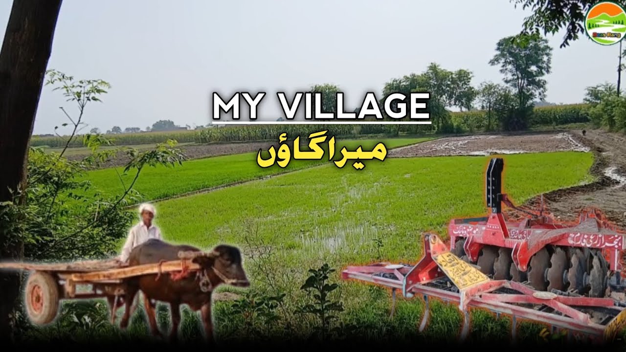 My Village Moza Wanike,Hujra Shah Muqeem|Village Life| Beas Rang 