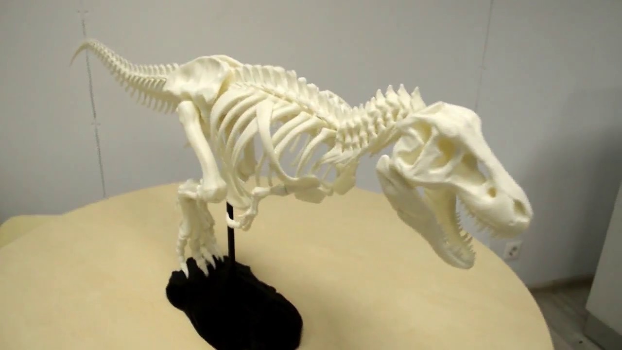 Печатаем Тираннозавра на 3D принтере PrintBox3D 270 PRO