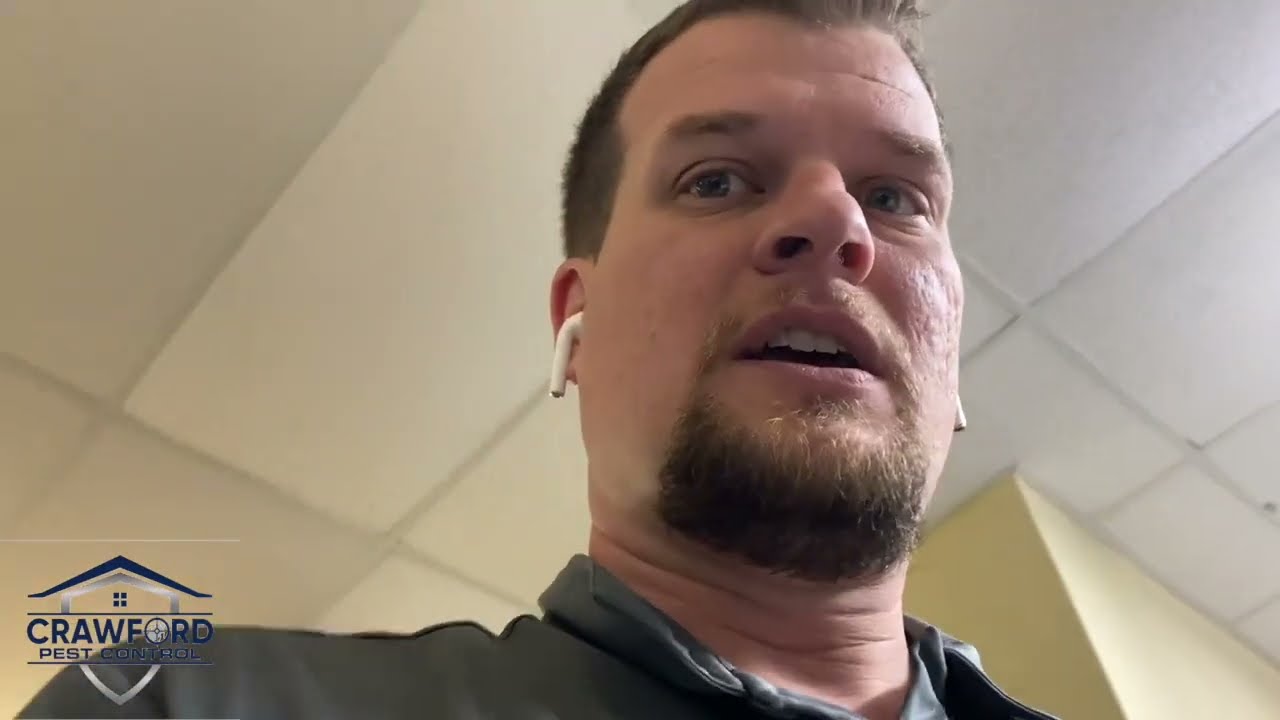 How to Kill German Cockroaches in a Commercial Kitchen in JACKSONVILLEFL www.crawfordpestcontrol.com