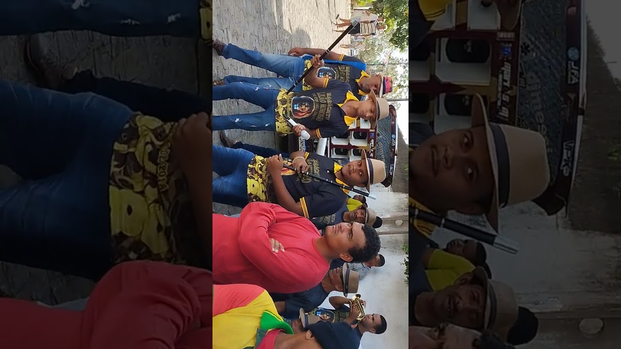 chamada do leão mimoso de Paudalho