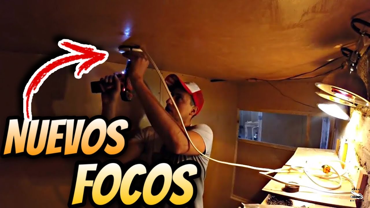 Focos Nuevos Para Los Varanos