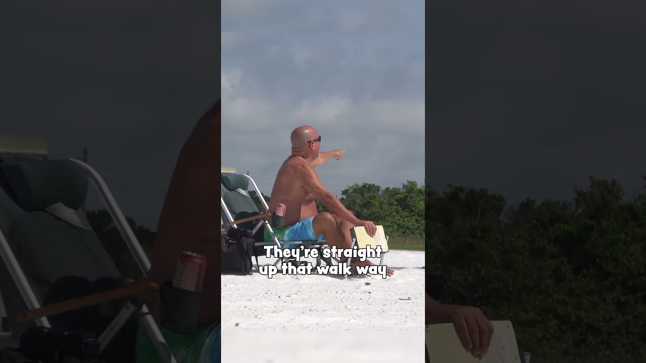 Полное видео 👆