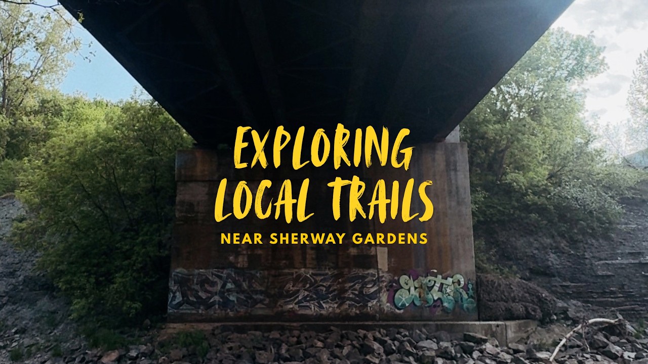 In Search of Dirt: South East Etobicoke Creek | Toronto, Ontario