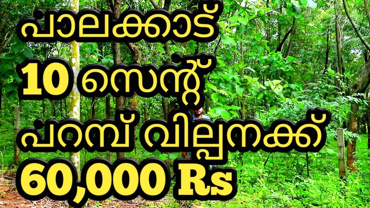 PALAKKAD 10 CENT PLOT FOR SALE