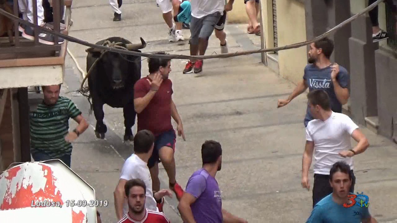 Lodosa, Toro con Soga 2019, Mañana del Domingo 15/09/19