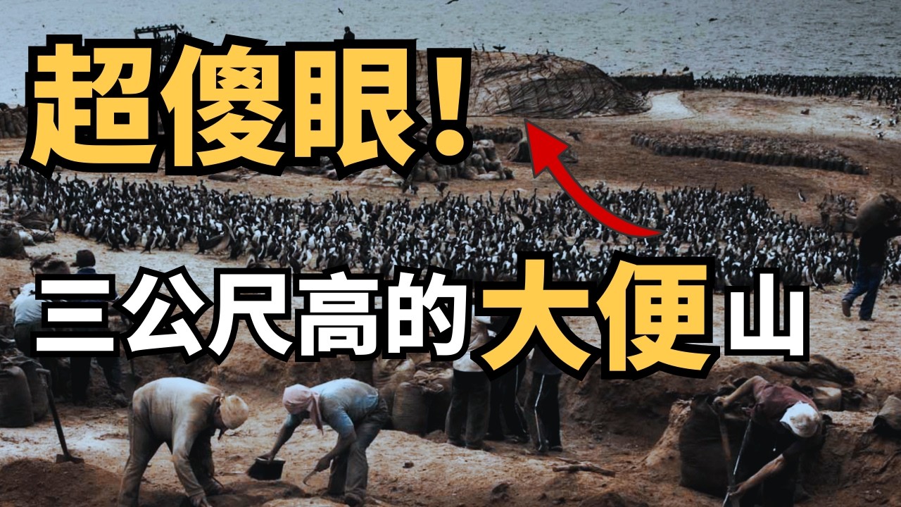 祕魯旅遊有多誇張？早上看企鵝，下午爬沙丘！