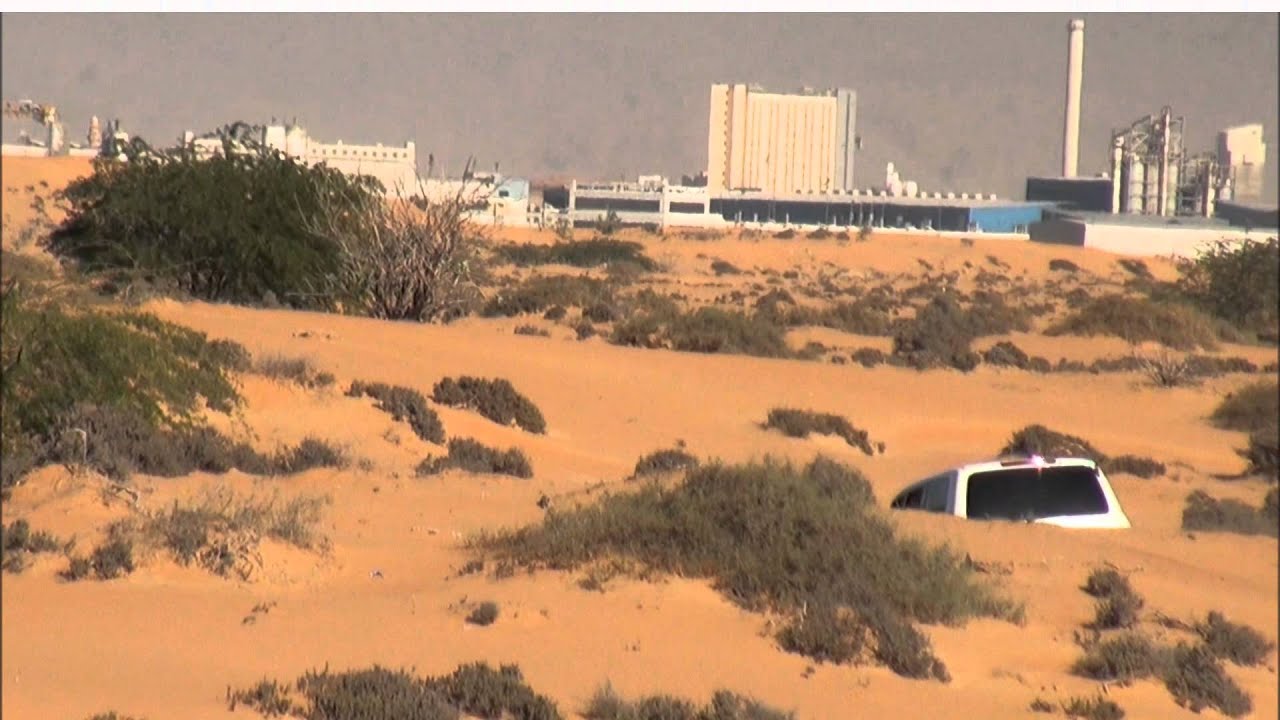 هدد جير وحش علي كراوين