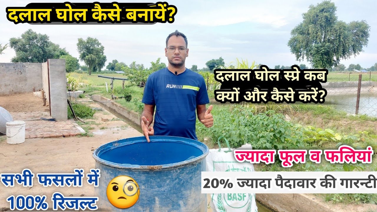 दलाल घोल का स्प्रे कब ,क्यों व कैसे करें? Dalal ghol kese banaye 🧐 Urea + DAP + Zinc🔝उपज बढ़ाये 20%
