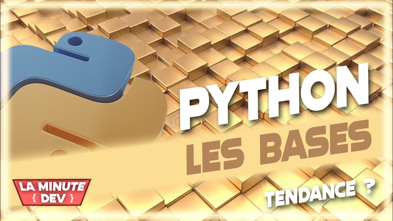 🐍 Langage Python : les bases ! 100% tutoriel #1 🐍