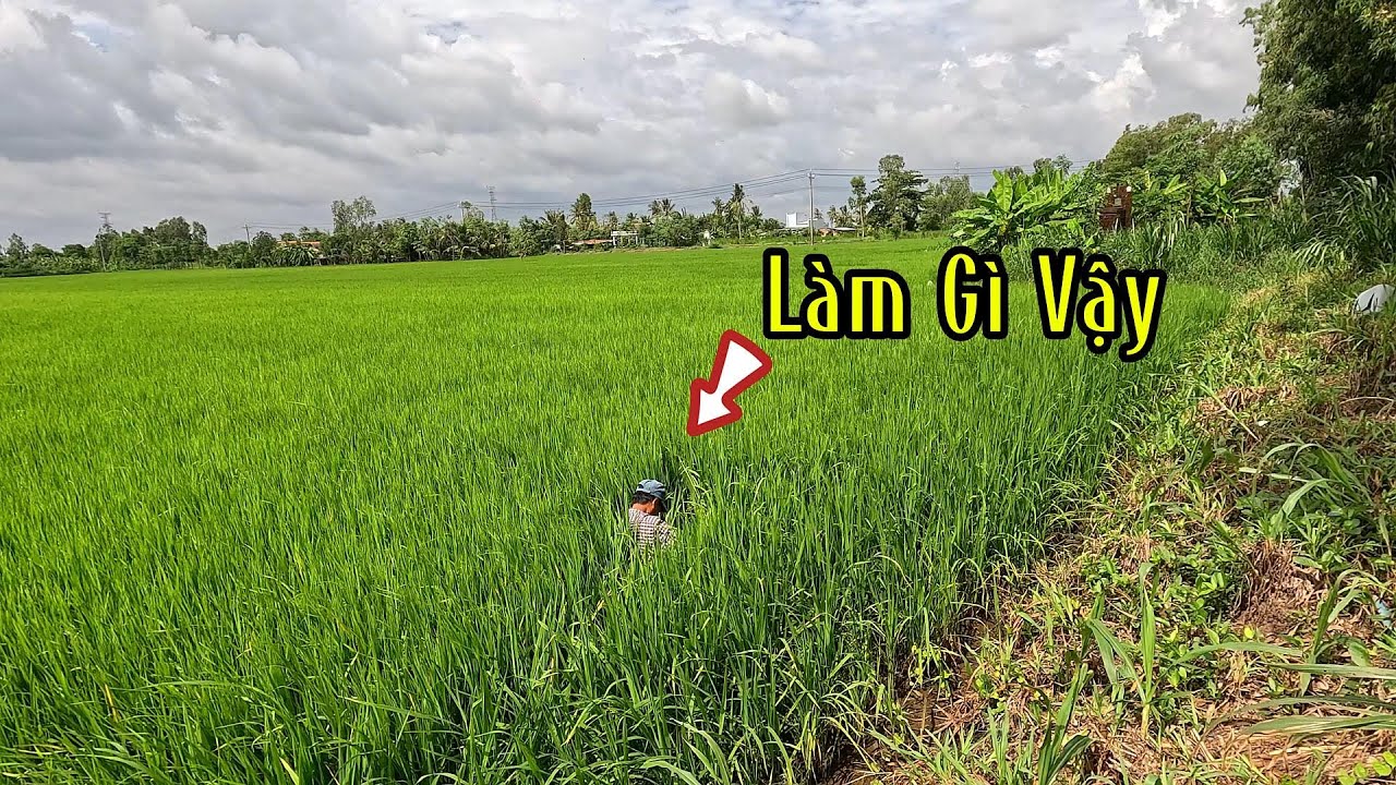Cuộc Rượt Đuổi Không Lối Thoát | Mười Thương Săn Bắt