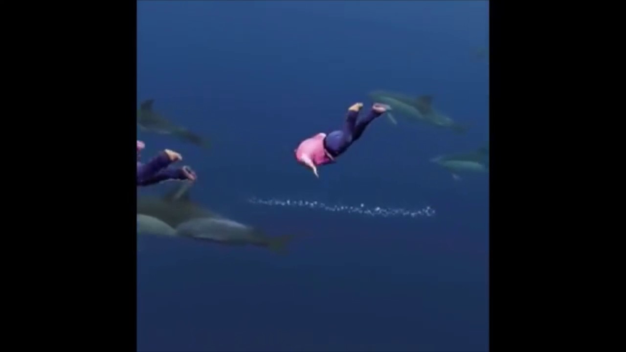 diving guy off bridge | shooting star meme