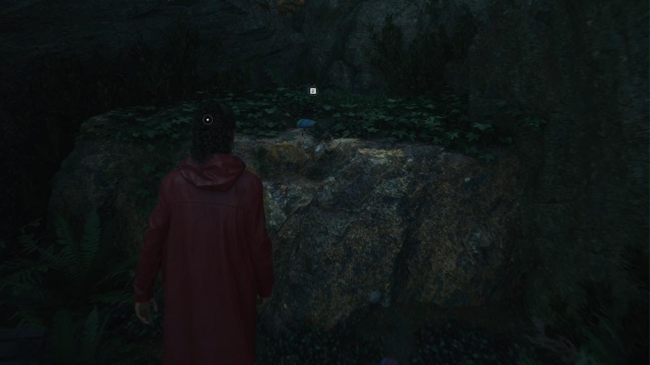 Alan Wake 2 FBC CONTROL