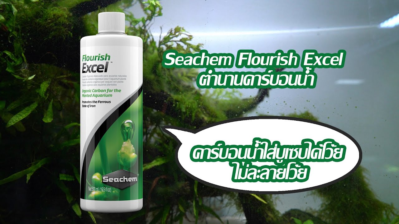 Seachem Flourish Excel ตำนานคาร์บอนน้ำ - คาร์บอนน้ำใส่บูเซบได้โว้ย ไม่ละลายโว้ย