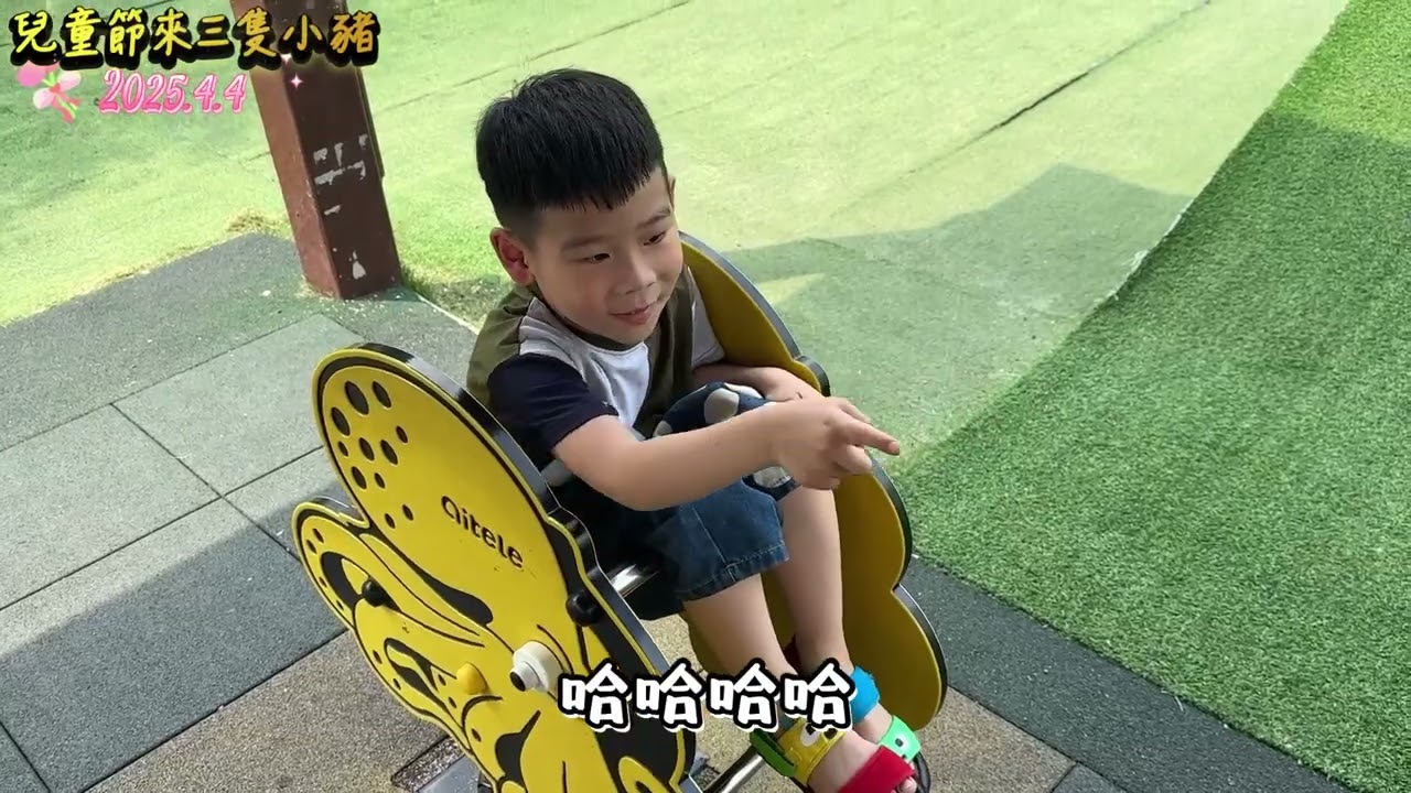 2025.4.4兒童節來三隻小豬
