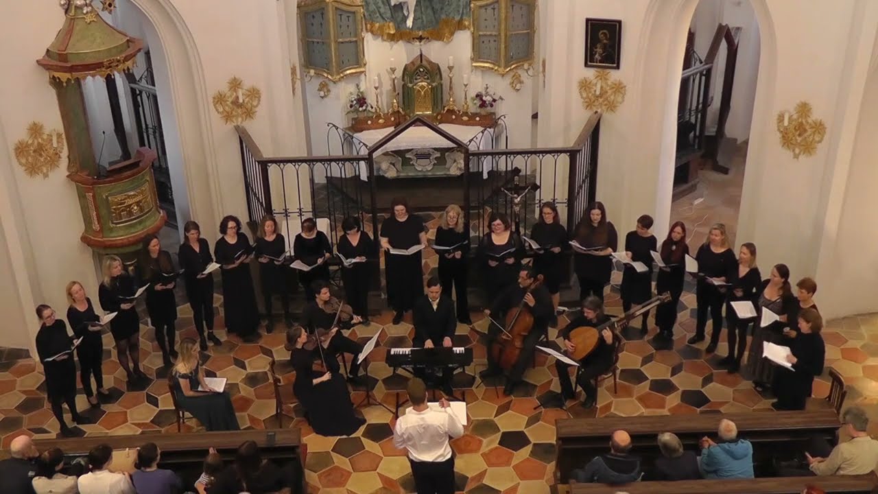 Adam Václav Michna z Otradovic: Loutna česká / Akordum