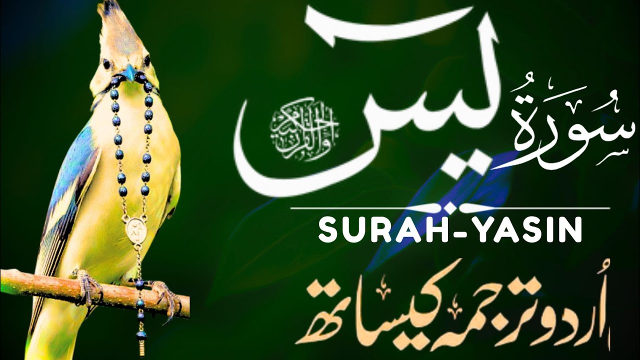 Surah Yaseen(Yasin) with Urdu Translation | Episode 88 | Emotional & Clear Quran Recitation