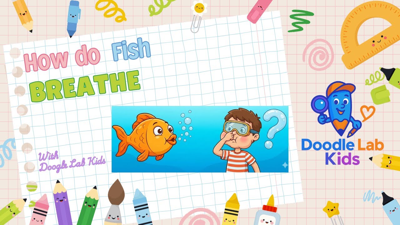 Episode 74 How do Fish Breathe