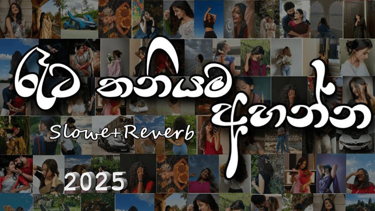 රෑට තනියම අහන්න | Slowed and Reverb Songs | manoparakata sindu