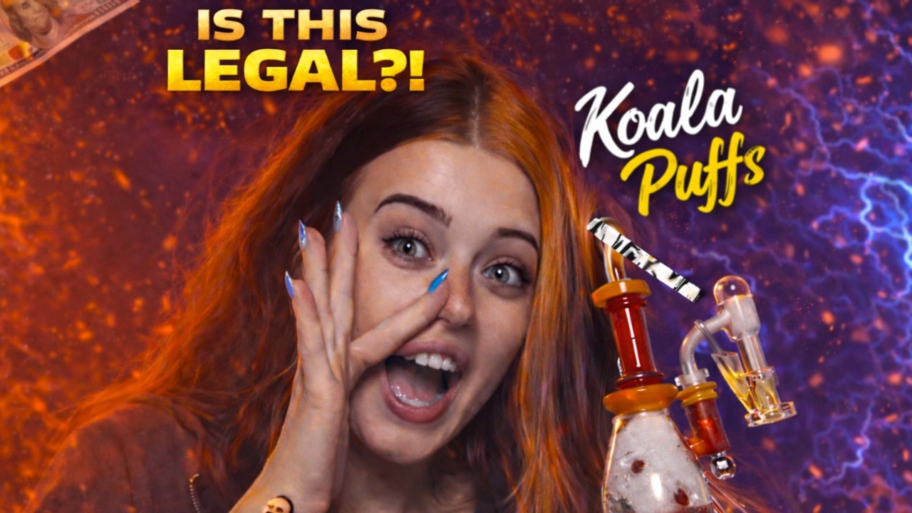 Koala Puffs делает &laquo;носовой танец&raquo; (Nose Dab), который посмотрели 11 миллионов человек.