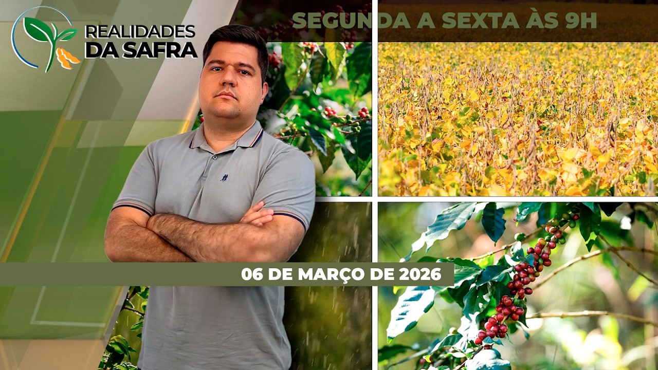 Clima irregular prejudicou desenvolvimento dos cafezais em Varginha/MG e elevaram pressão...