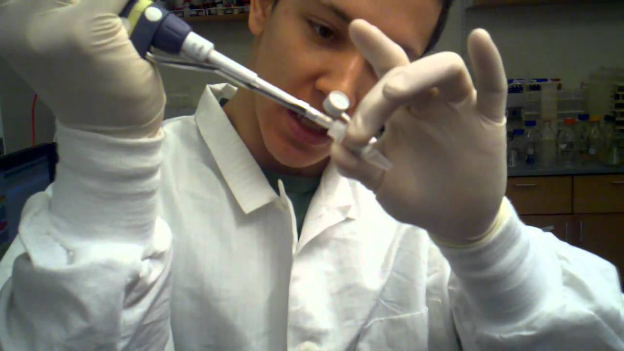 cloning cycle - how to set up a resctriction digest on plasmid or pcr DNA