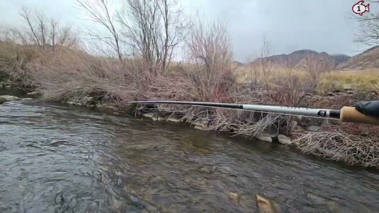 Tail Water Fly Fishing 