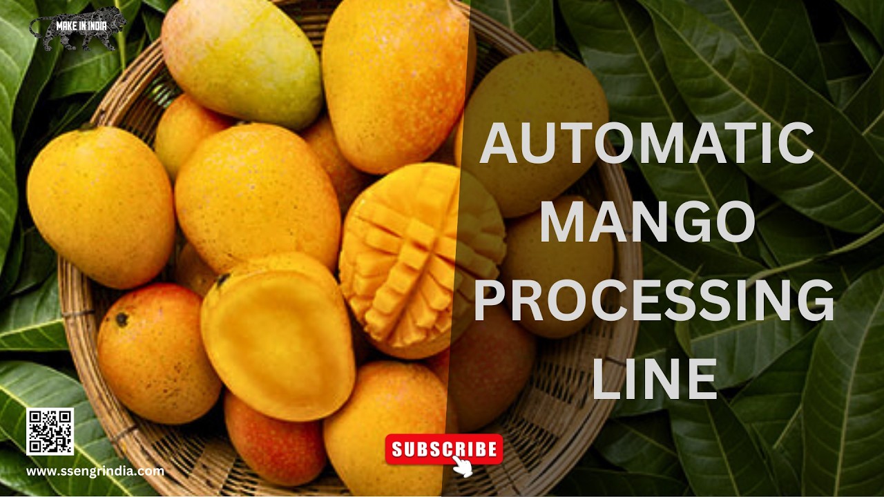 Fully Automatic Mango Washing Line | Industrial Fruit Cleaning System#MangoWashingLine#cleaningline