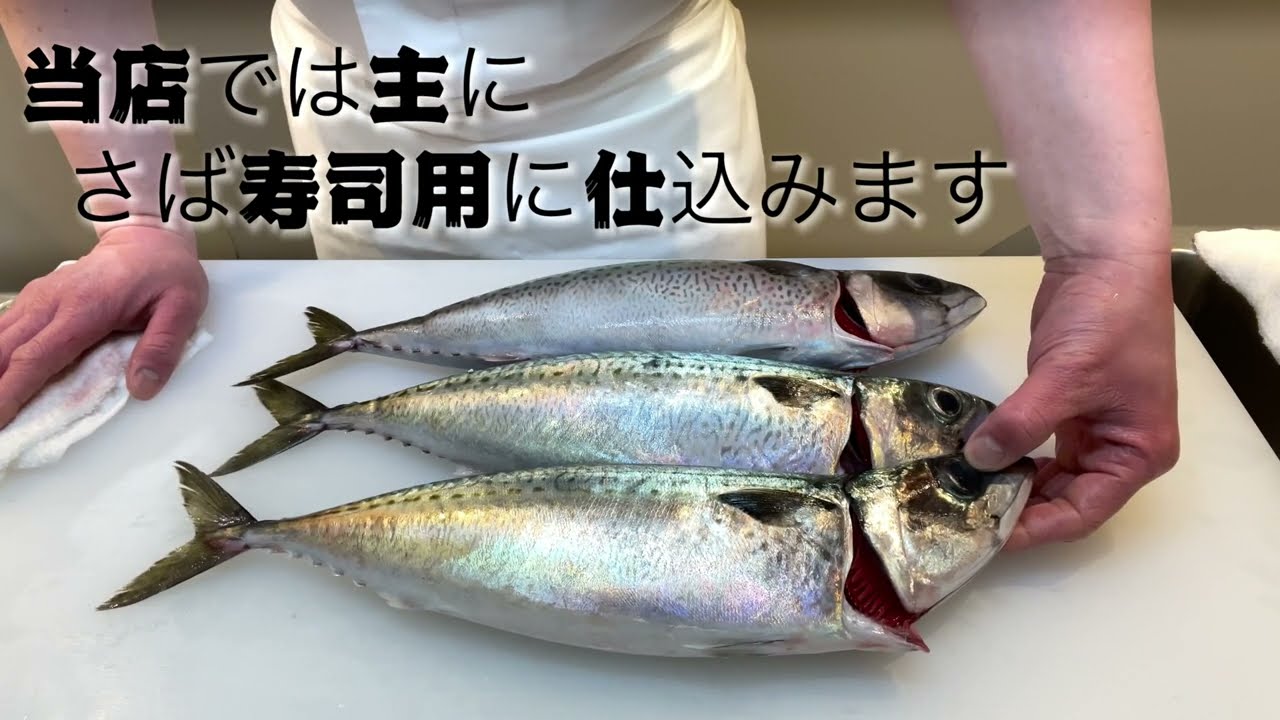 【旬席割烹しとり】「〆さばの作り方」さばのおろし方→〆さば→さば寿司