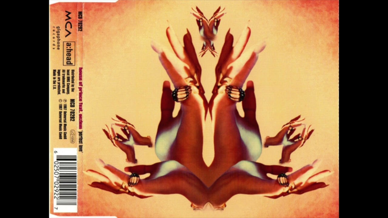 House Of Prince ft. Oezlem - Perfect Love