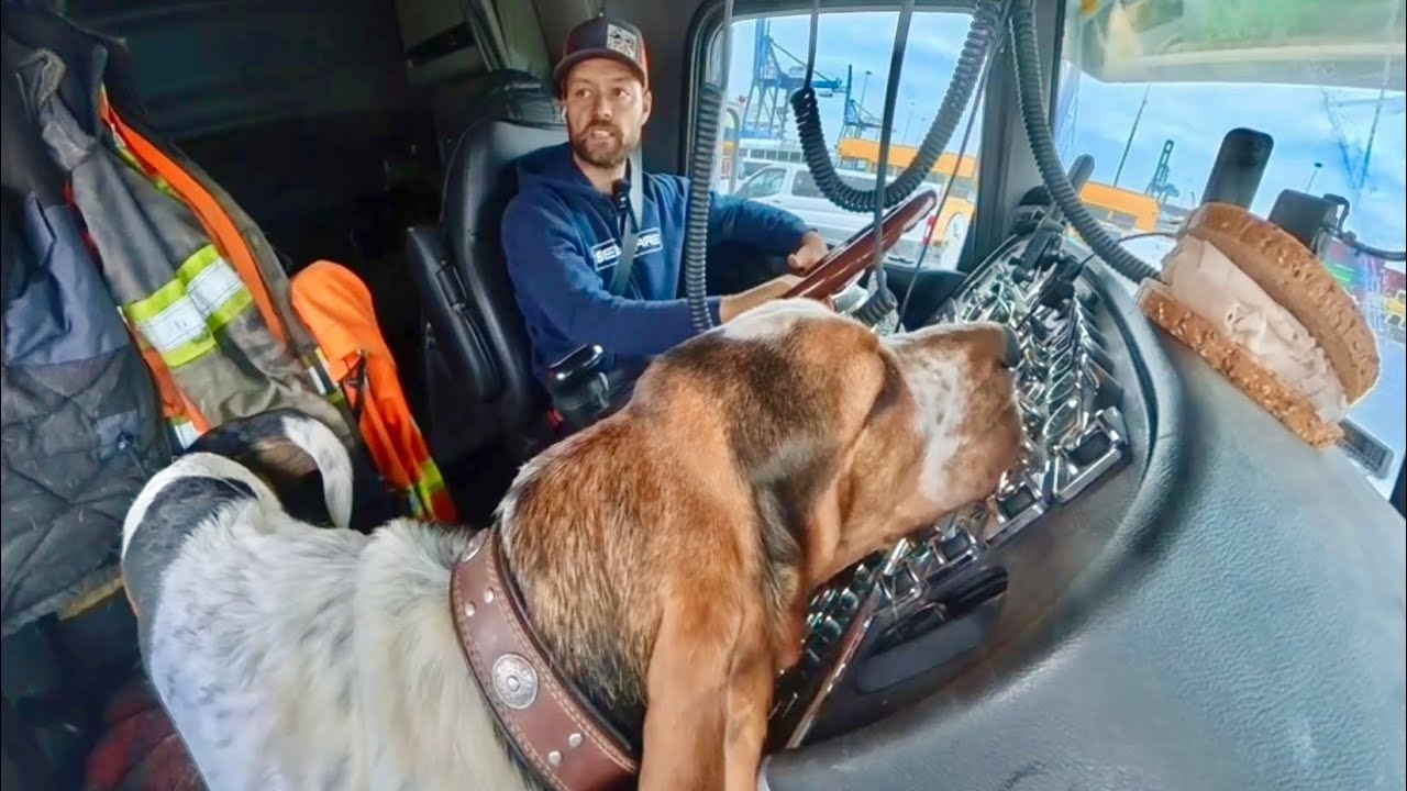 Day in the life of a heavy hauler