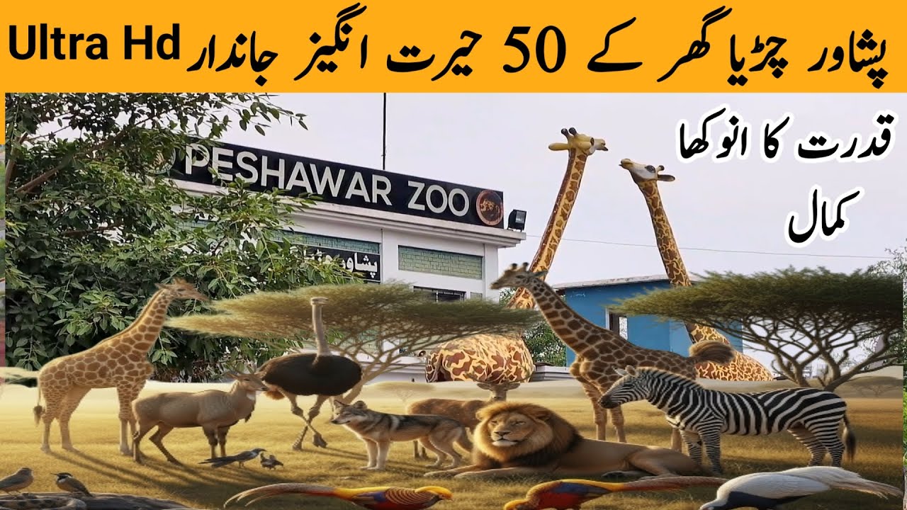 Peshawar Zoo | 50 Amazing Animals 🦁🐅 | Animal Documentary in Urdu & Hindi | Wildlife of Pakistan
